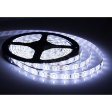 Fita LED Branco Frio 5M com Fonte completa